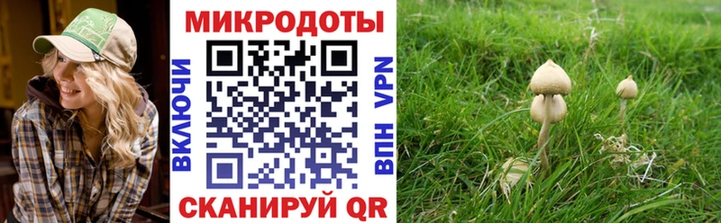 купить наркотик  Ивдель  shop Telegram  Галлюциногенные грибы Cubensis 